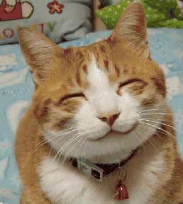 [Image: smiling-cat.jpg]